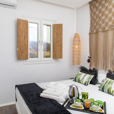 Ninemia Naxos Suites Agios Thaleleos Exteriér fotografie